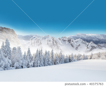 Winter snowy landscape Winter snowy landscape 40375763