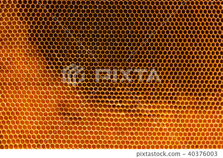 Honeycomb texture 40376003