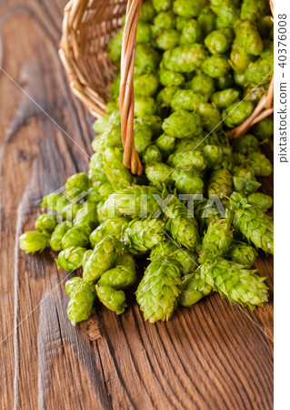 Fresh green hops on wooden desk 40376008
