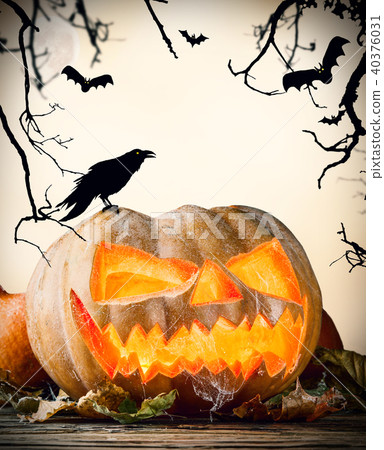 Halloween pumpkin on wood with dark background Halloween pumpkin on wood with dark background 40376031