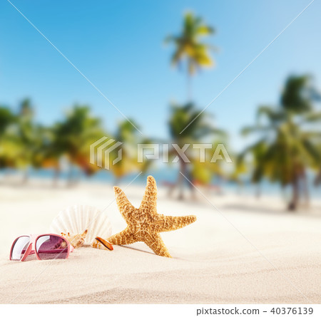 Sandy beach with seashells 40376139
