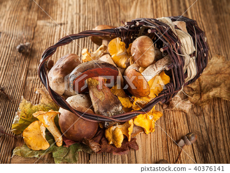 Mix of mushrooms on wooden planks Mix of mushrooms on wooden planks 40376141