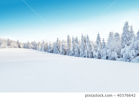 Winter snowy landscape 40376642