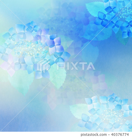 Background-Hydrangea 40376774