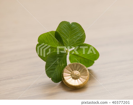 四葉三葉草 四葉三葉草 40377201