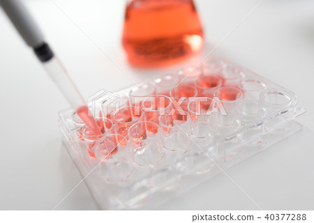 Experiment Experiment 40377288