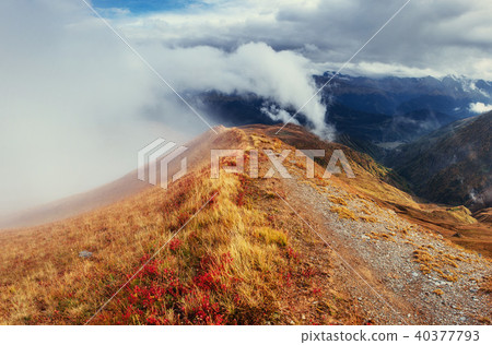 Thick fog on the mountain pass Goulet. Georgia, Svaneti. Europe. 40377793