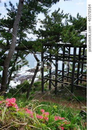 三陸的旅程石海岸 40378564