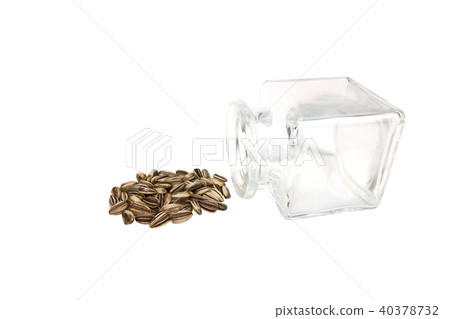 Sunflower Seeds _ White Background _ Material _ Sunflower Seeds _ White Background _ Material _ 40378732