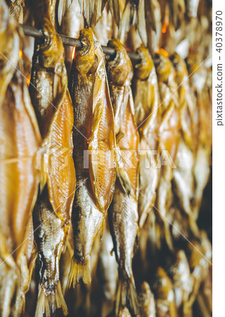 fish seafood factory 40378970