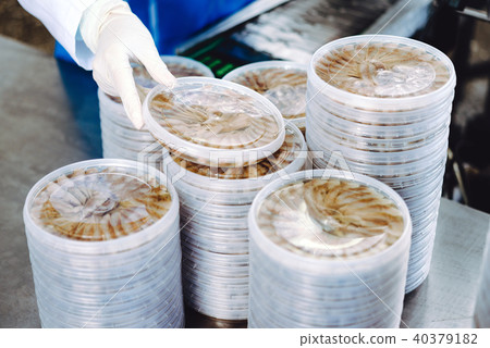 fish seafood factory fish seafood factory 40379182
