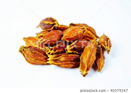 中藥處方藥,梔子(三參石)乾果,白背水平位置 中藥處方藥,梔子(三參石)乾果,白背水平位置 40379347