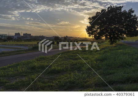 河床東京多摩川河床的黃昏 河床東京多摩川河床的黃昏 40379361