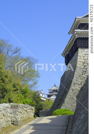 松山城 松山城 40379725