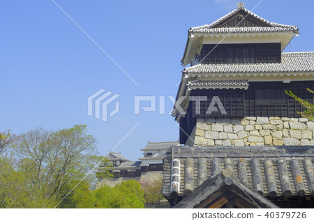 Matsuyama Castle 40379726