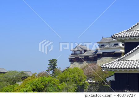 Matsuyama Castle Matsuyama Castle 40379727