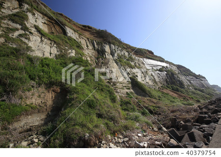 Beach of Iioka 40379754