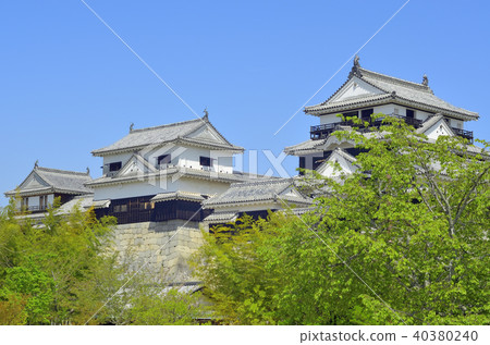 松山城 松山城 40380240