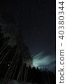 夜空和樹木 40380344