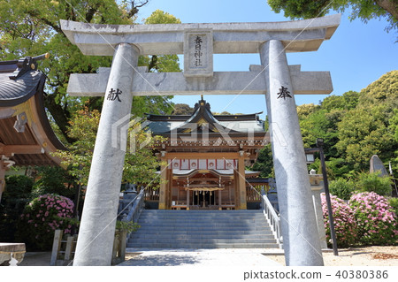 新鮮的綠色春日神社福岡縣春日市春日 40380386
