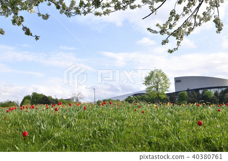 英格蘭的新城：米爾頓凱恩斯公園，坎貝爾公園 40380761