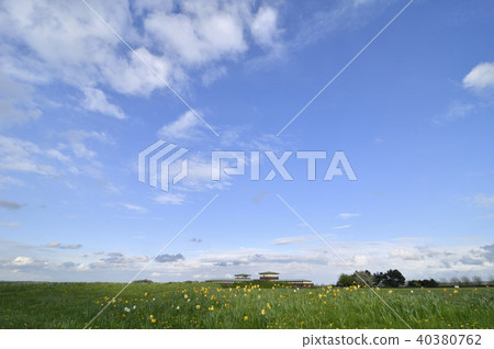 英格蘭的新城：米爾頓凱恩斯公園，坎貝爾公園 40380762
