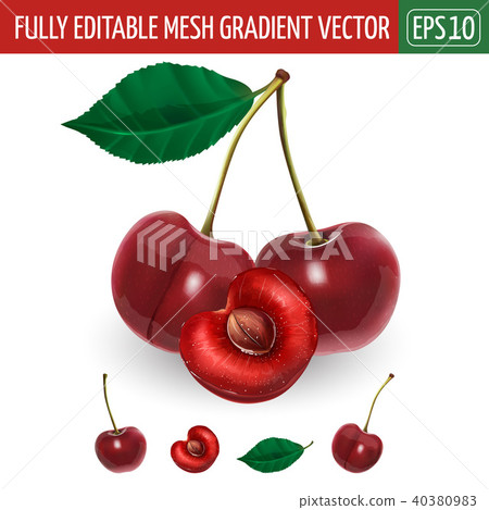 Cherry on white background. Vector illustration Cherry on white background. Vector illustration 40380983