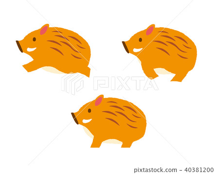 Wild Boar Illustration 40381200