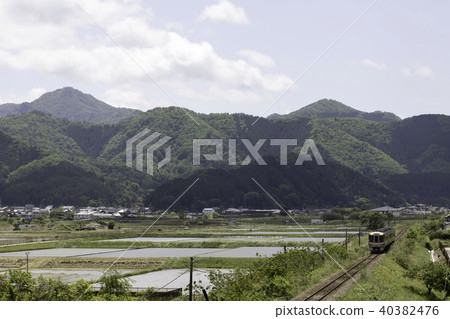 Paddy and limited express are mixed 40382476