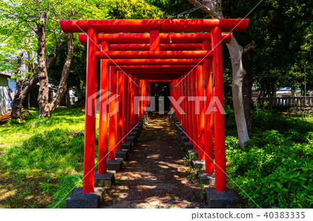 (Nagoizumi-cho, Shizuoka Prefecture) Tokirizuka Inari Shrine Torii 40383335