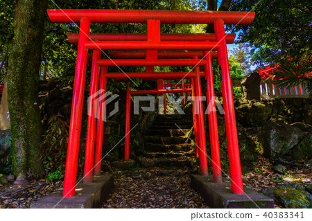 （靜岡縣Nagoizumi-cho）Tokirizuka Inari Shrine Torii 40383341