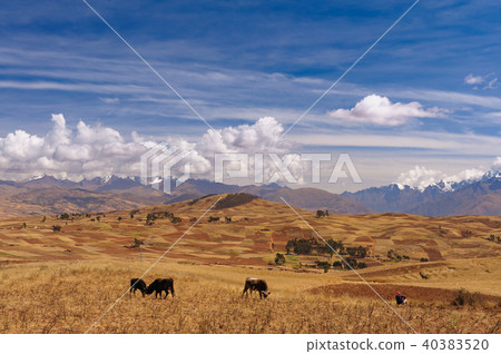 Sacred Valley of Inca 40383520