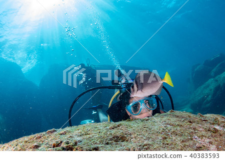 beautiful latina diver girl while touching a fish beautiful latina diver girl while touching a fish 40383593
