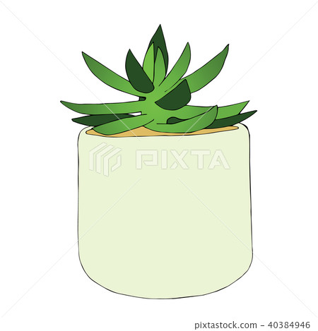 Hand drawn succulent flower in the pot. Hand drawn succulent flower in the pot. 40384946