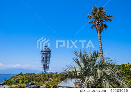 Enoshima observation lighthouse sea candle and palm tree 40385016