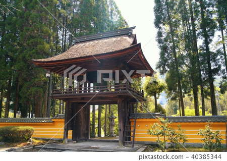 Takashizentera Takashizentera 40385344