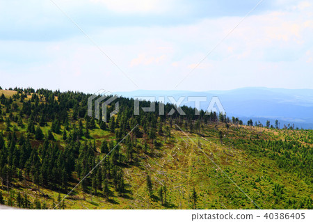 Jeseniky mountains and forests 40386405