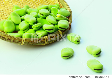 蠶豆 蠶豆 40386634