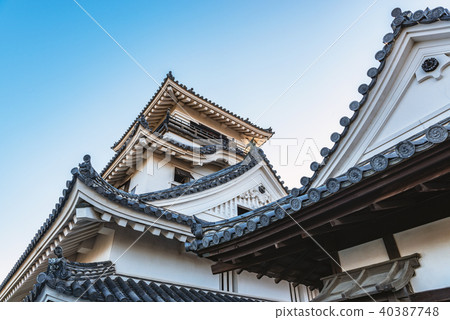 高知城堡塔 高知城堡塔 40387748