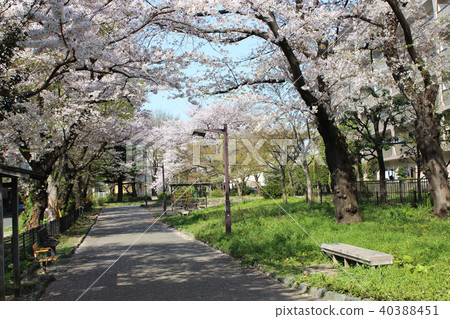 Soshigaya Okura Soshigaya Okura 40388451