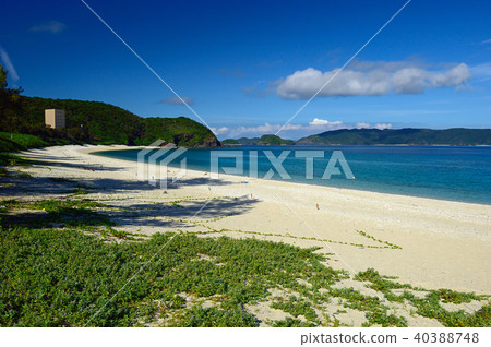 沖繩縣島尻郡座間味島舊座間味海灘 40388748