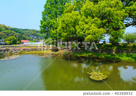 Shionoike Shimizu [佐賀縣佐久島郡白石町] 40389932