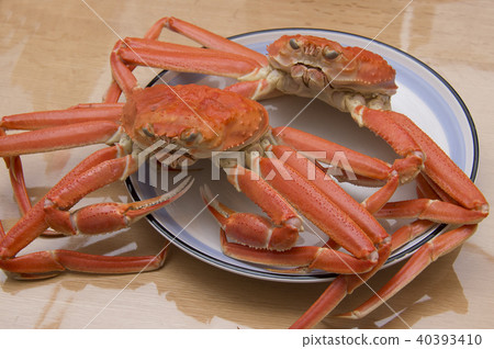 Snow crab Snow crab 40393410