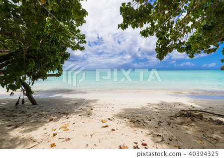 熱帶海洋和陰暗的關島 40394325