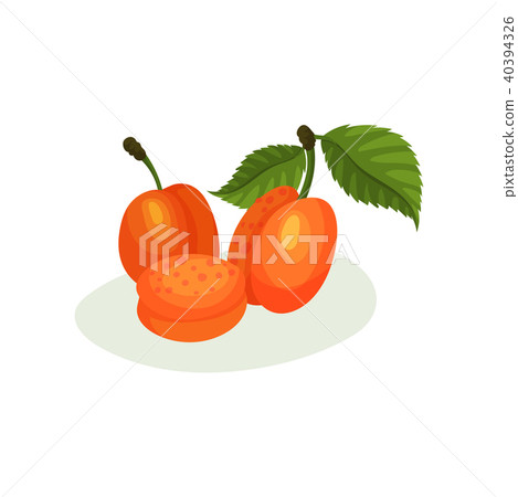 Delicious apricots with green leaves. Natural fresh food. Decorative flat vector element for juice Delicious apricots with green leaves. Natural fresh food. Decorative flat vector element for juice 40394326