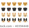 Collection of illustrations and expressions of bulldog faces 40394448