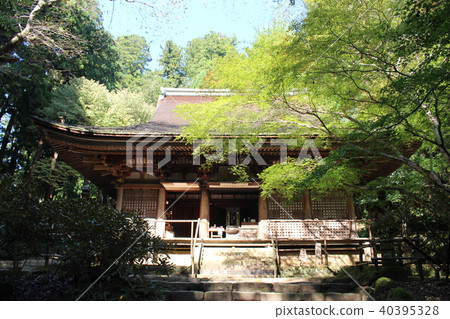 Muroji Temple Muroji Temple 40395328