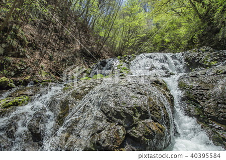 Fish Stop Waterfall Fish Stop Waterfall 40395584