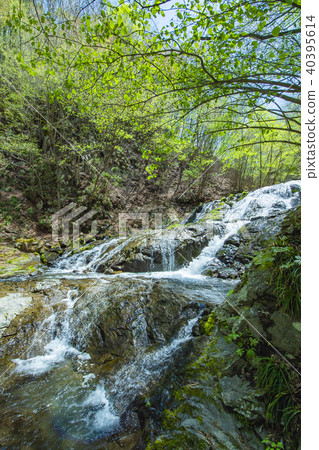 Fish Stop Waterfall Fish Stop Waterfall 40395614