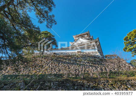 Kochi castle tower 40395977